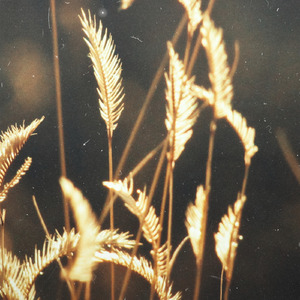 啊灬啊灬啊灬快灬深用力A片软件
