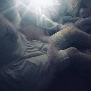 啊灬啊灬啊灬快灬深用力A片软件
