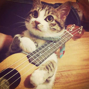 啊灬啊灬啊灬快灬深用力A片软件
